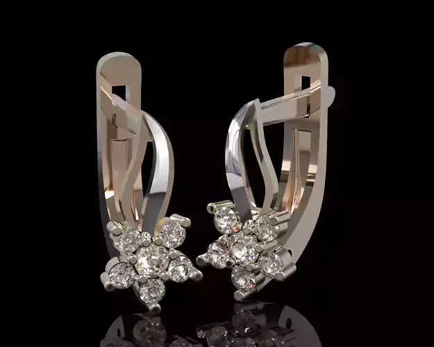 Elegant Jewelry Earrings