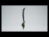 Stylized Weapons Low-poly 3D model_2