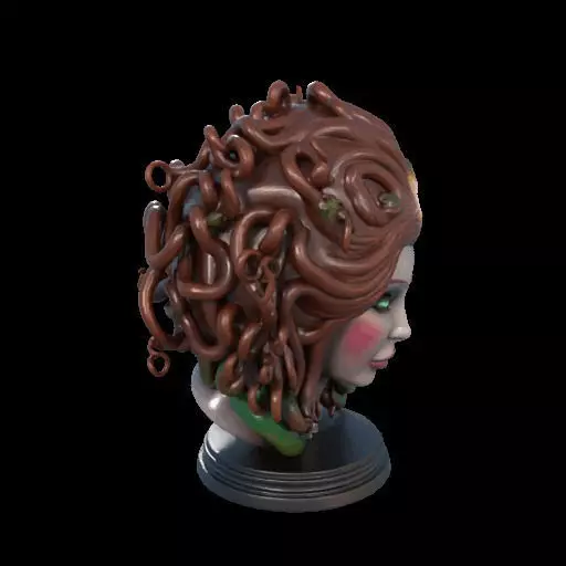 2167  Medusa Gorgon Head 3D Model  magic 3D print model_32