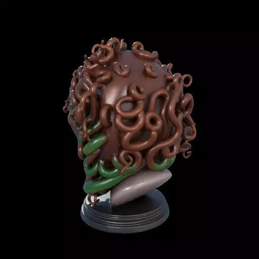 2167  Medusa Gorgon Head 3D Model  magic 3D print model_17