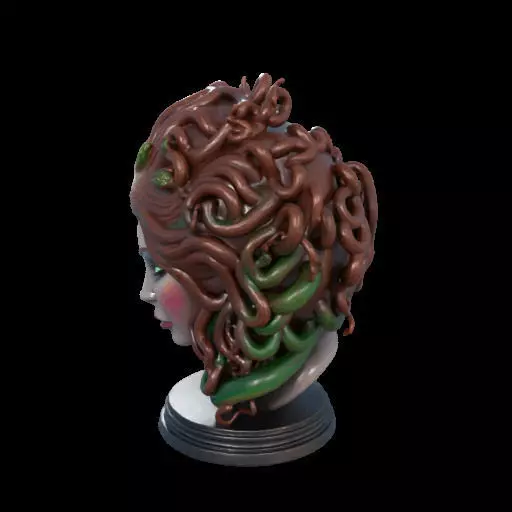 2167  Medusa Gorgon Head 3D Model  magic 3D print model_22