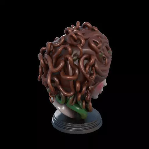 2167  Medusa Gorgon Head 3D Model  magic 3D print model_34