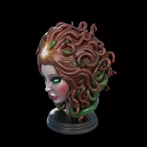 2167  Medusa Gorgon Head 3D Model  magic 3D print model_25