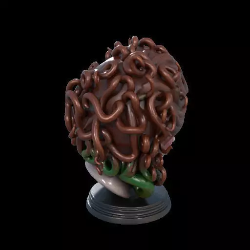 2167  Medusa Gorgon Head 3D Model  magic 3D print model_35