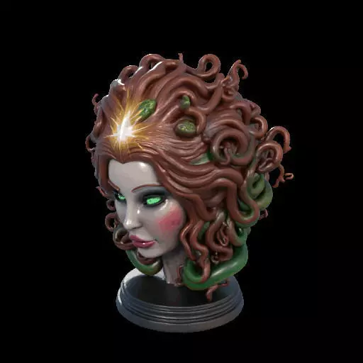 2167  Medusa Gorgon Head 3D Model  magic 3D print model_26