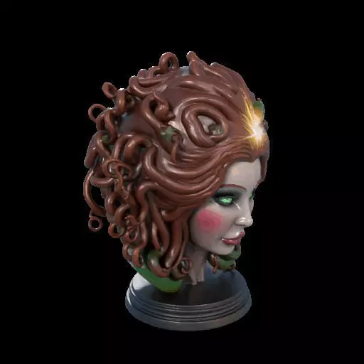 2167  Medusa Gorgon Head 3D Model  magic 3D print model_30