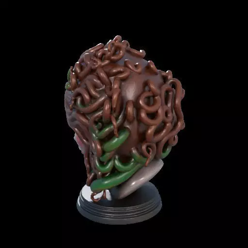 2167  Medusa Gorgon Head 3D Model  magic 3D print model_20