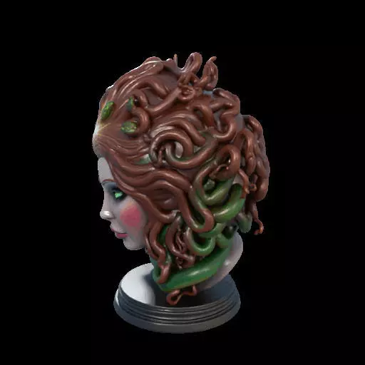 2167  Medusa Gorgon Head 3D Model  magic 3D print model_23