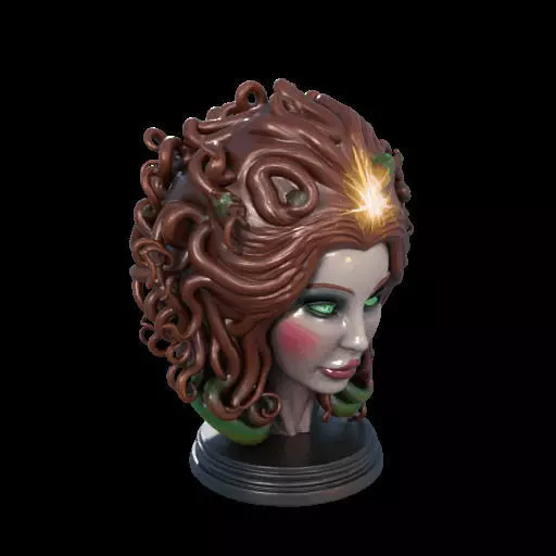 2167  Medusa Gorgon Head 3D Model  magic 3D print model_29