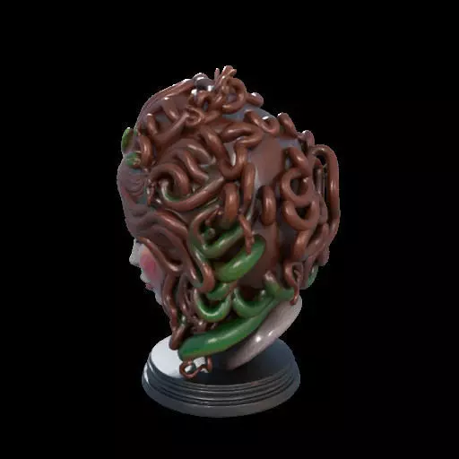 2167  Medusa Gorgon Head 3D Model  magic 3D print model_21