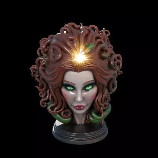 2167  Medusa Gorgon Head 3D Model  magic 3D print model_6