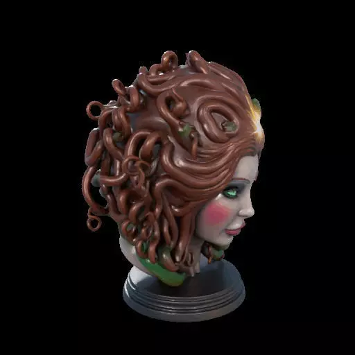 2167  Medusa Gorgon Head 3D Model  magic 3D print model_31