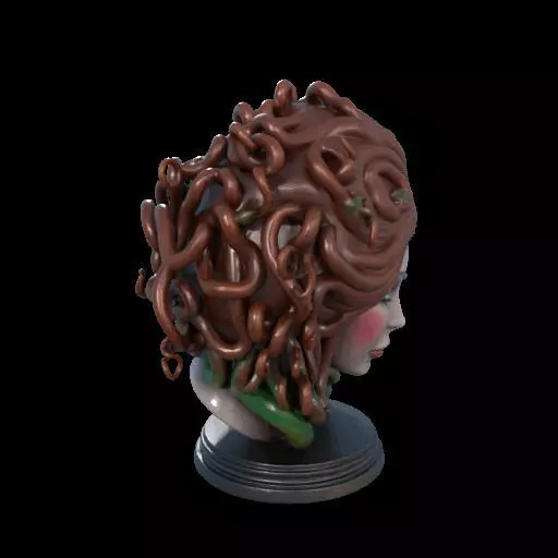 2167  Medusa Gorgon Head 3D Model  magic 3D print model_33