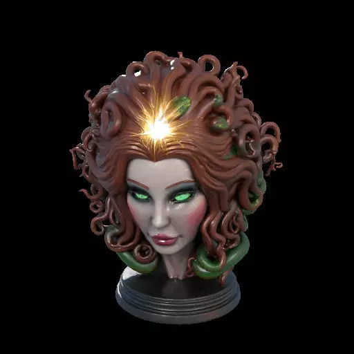 2167  Medusa Gorgon Head 3D Model  magic 3D print model_28