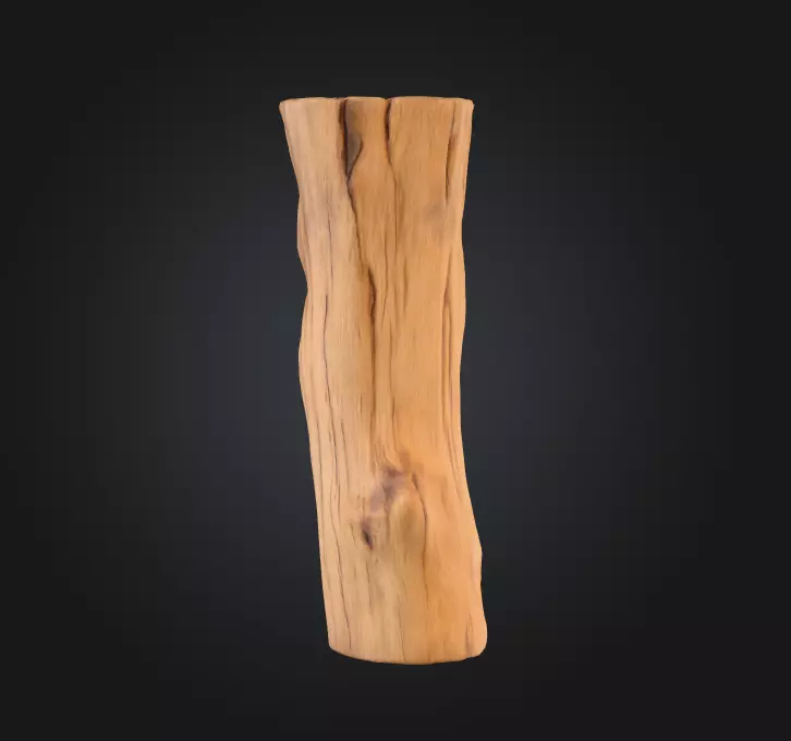 Log Standstill Low-poly 3D model_1