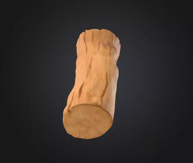 Log Standstill Low-poly 3D model_13