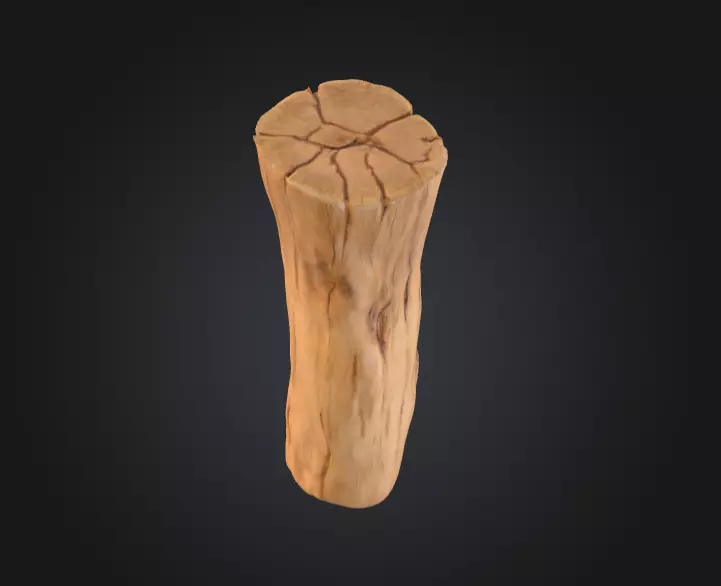Log Standstill Low-poly 3D model_4