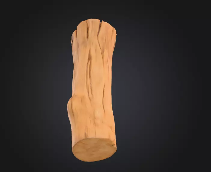 Log Standstill Low-poly 3D model_8