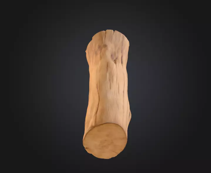 Log Standstill Low-poly 3D model_11