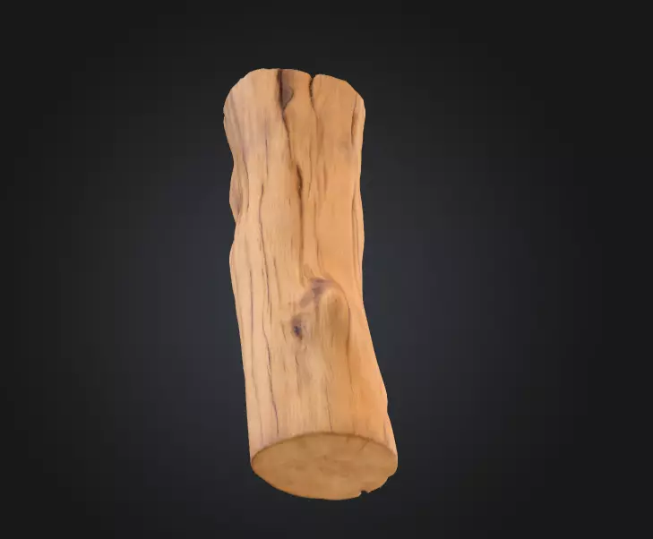 Log Standstill Low-poly 3D model_9