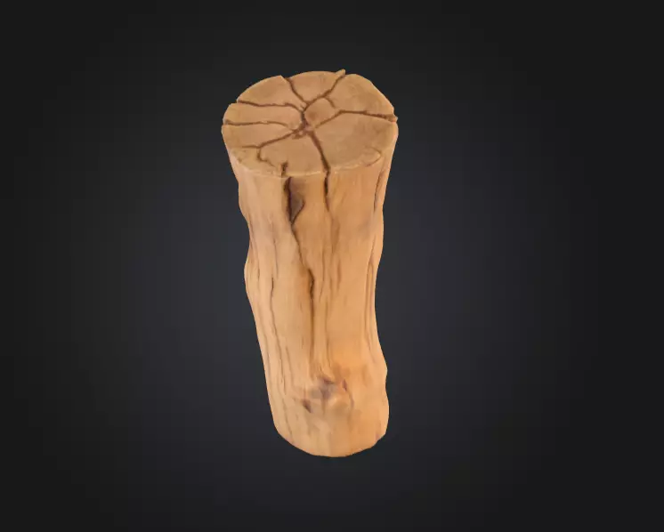 Log Standstill Low-poly 3D model_3
