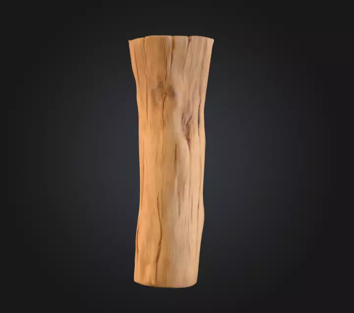 Log Standstill Low-poly 3D model_2