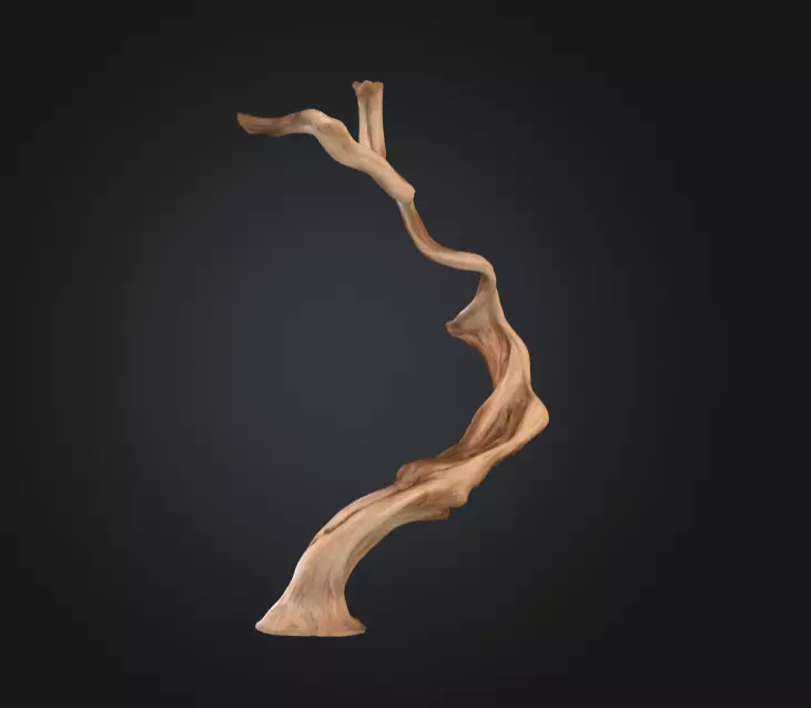 Twisting Elegance Wood Low-poly 3D model_1