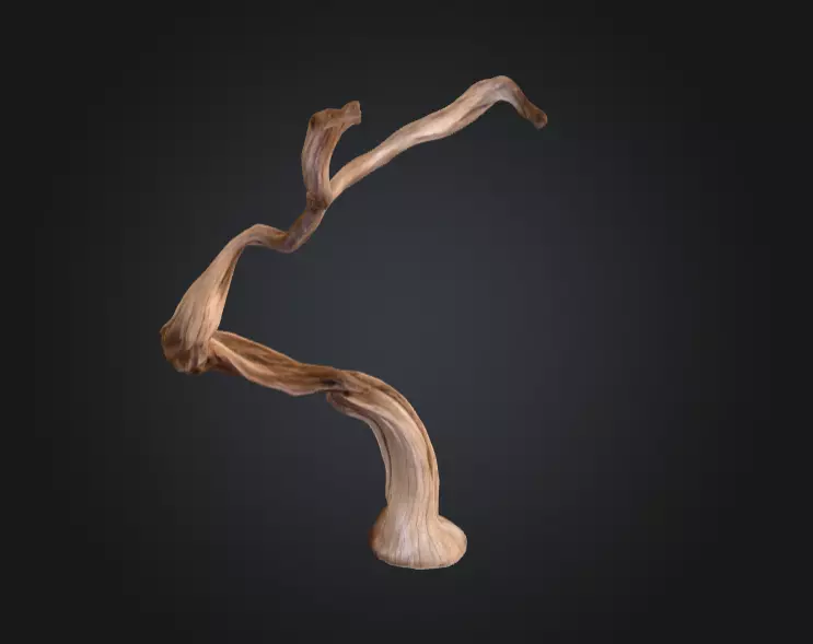 Twisting Elegance Wood Low-poly 3D model_9