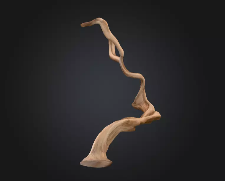 Twisting Elegance Wood Low-poly 3D model_12