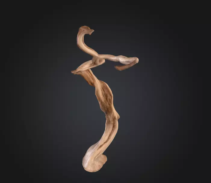 Twisting Elegance Wood Low-poly 3D model_8