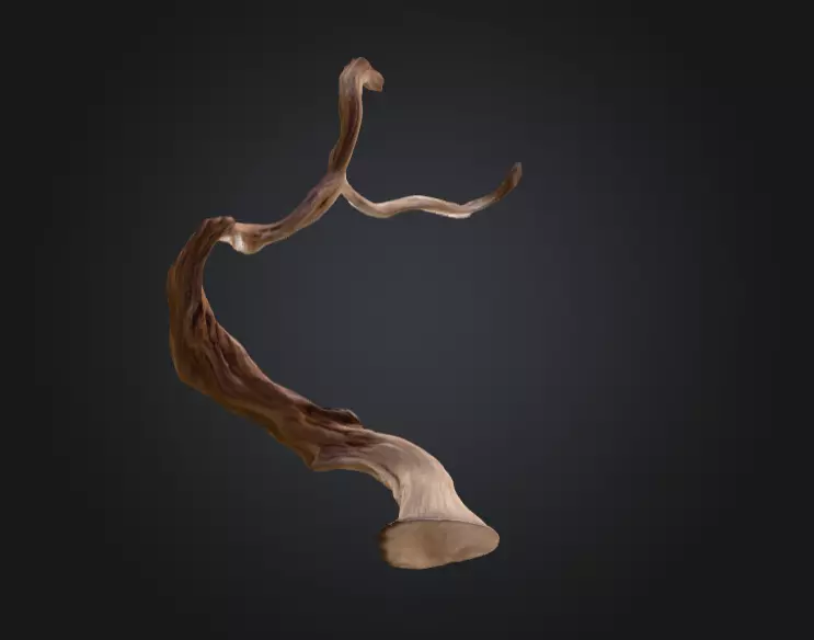 Twisting Elegance Wood Low-poly 3D model_10