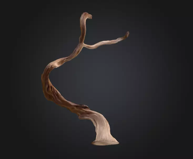 Twisting Elegance Wood Low-poly 3D model_14