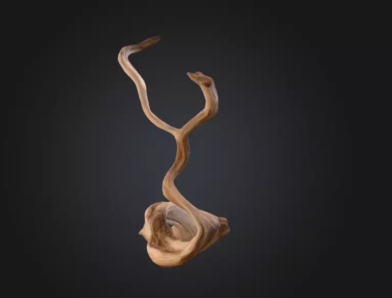 Twisting Elegance Wood Low-poly 3D model_6