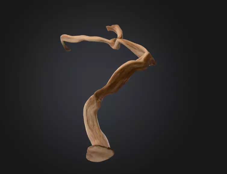 Twisting Elegance Wood Low-poly 3D model_11