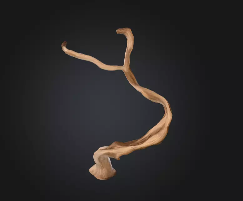 Twisting Elegance Wood Low-poly 3D model_0