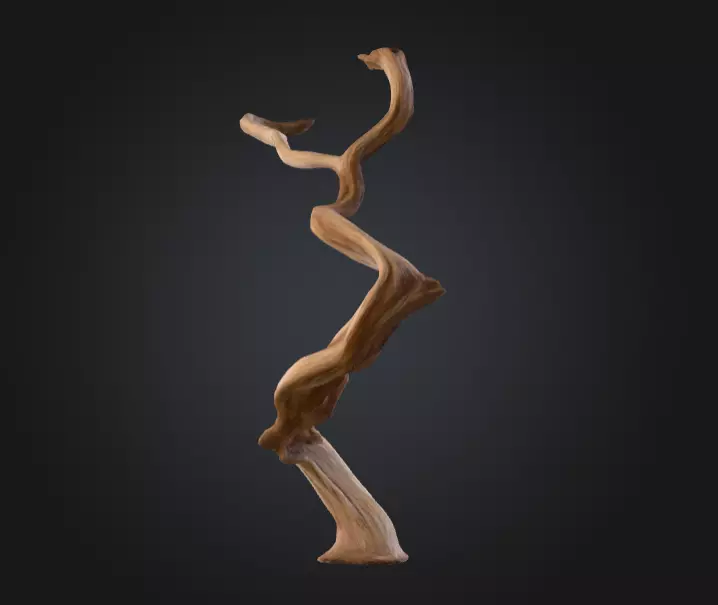 Twisting Elegance Wood Low-poly 3D model_5