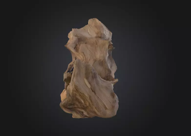 Desolate Driftwood Low-poly 3D model_5