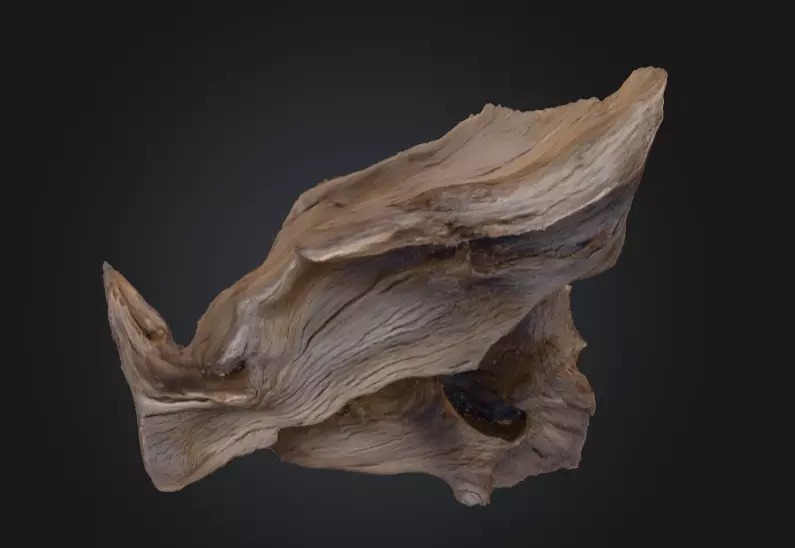Desolate Driftwood Low-poly 3D model_9