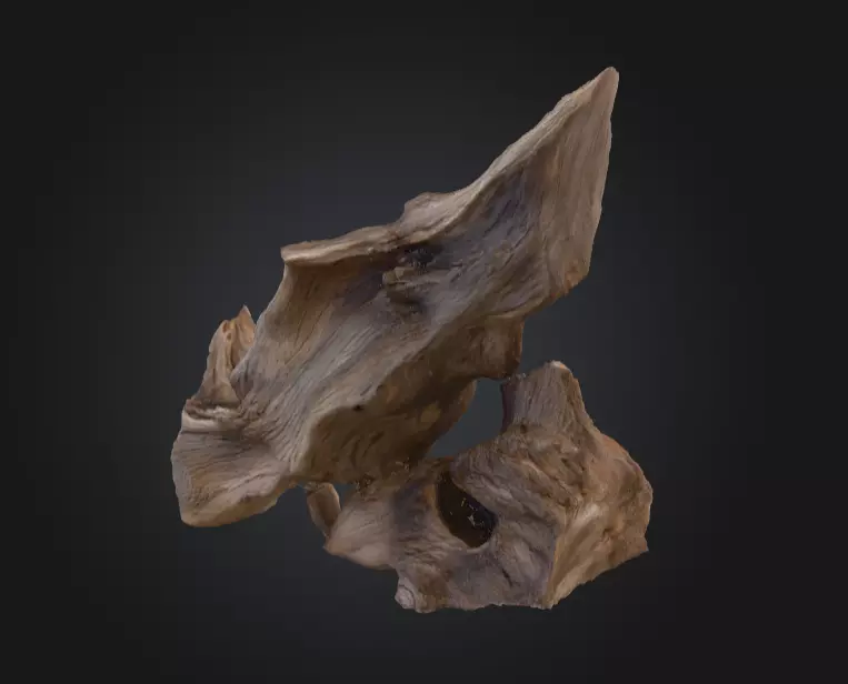Desolate Driftwood Low-poly 3D model_8