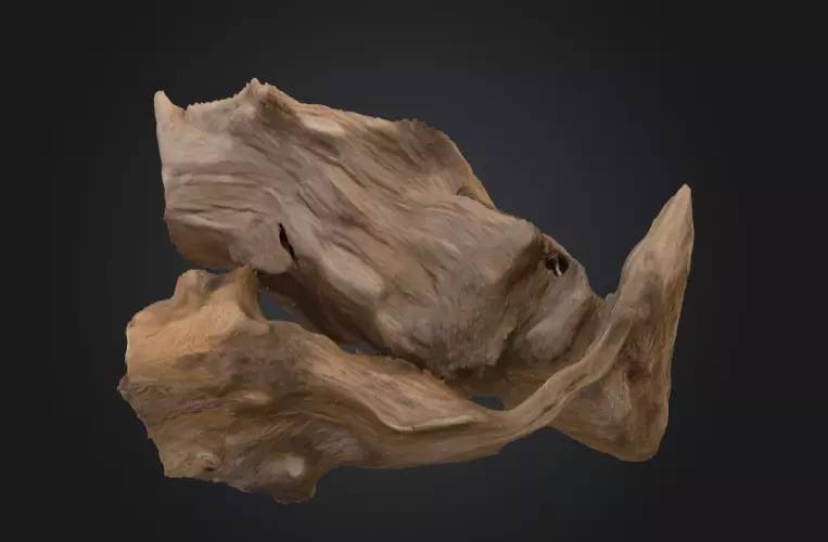 Desolate Driftwood Low-poly 3D model_6