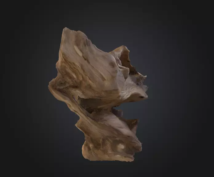 Desolate Driftwood Low-poly 3D model_11