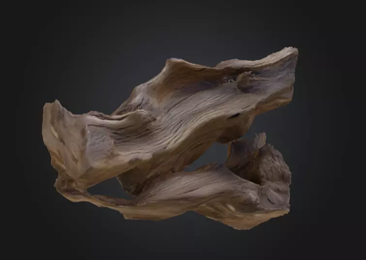 Desolate Driftwood Low-poly 3D model_12