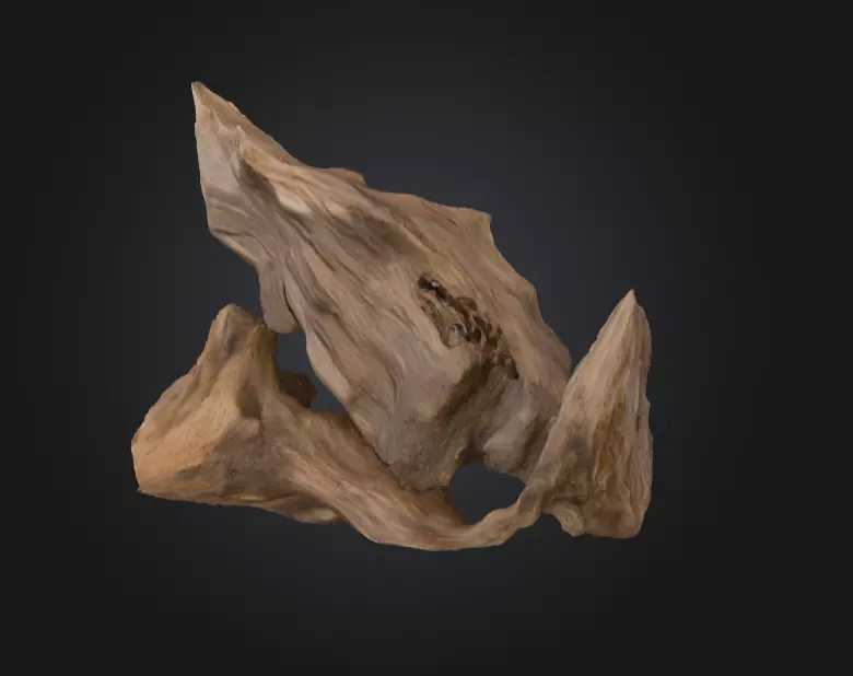 Desolate Driftwood Low-poly 3D model_2