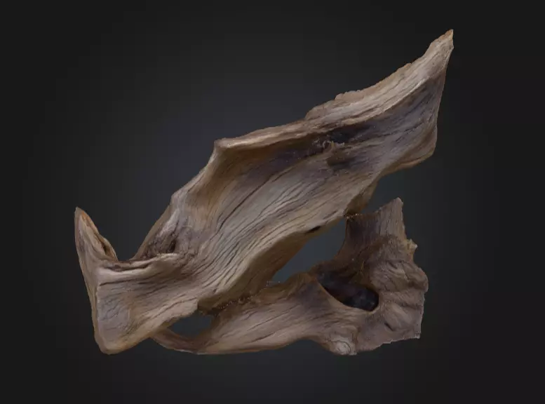 Desolate Driftwood Low-poly 3D model_4