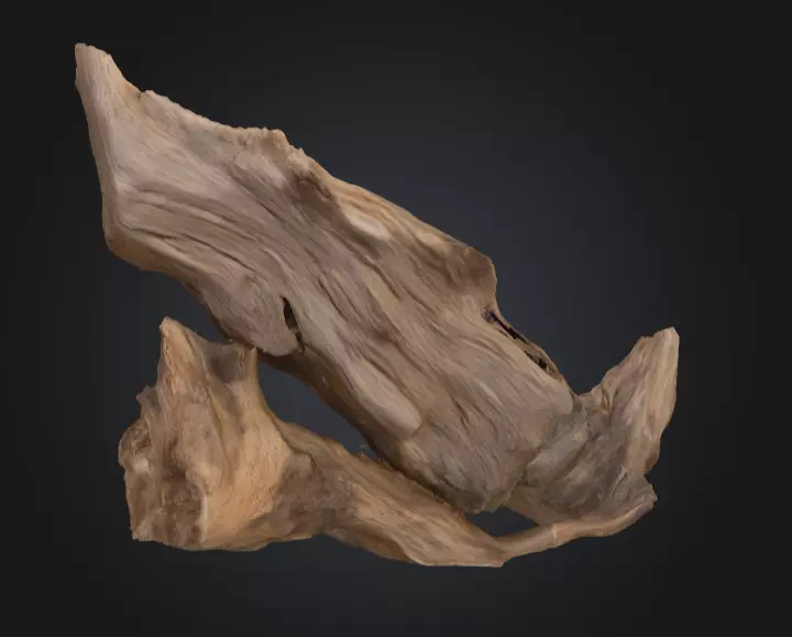 Desolate Driftwood Low-poly 3D model_1
