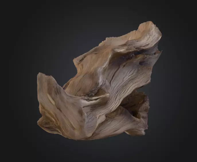 Desolate Driftwood Low-poly 3D model_3