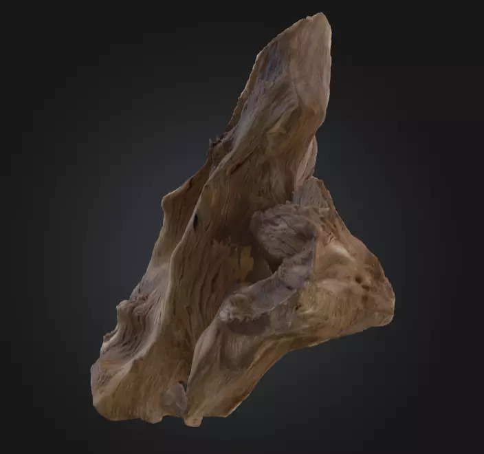 Desolate Driftwood Low-poly 3D model_14