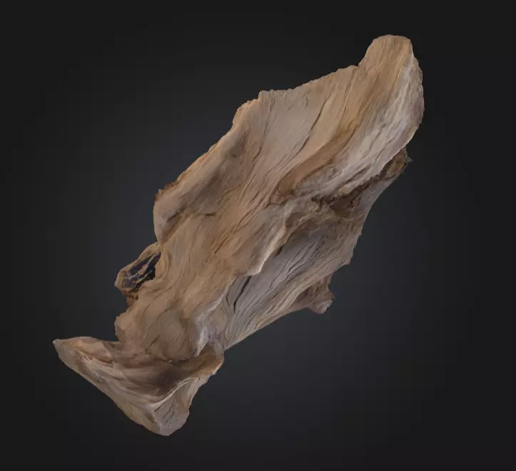 Desolate Driftwood Low-poly 3D model_7