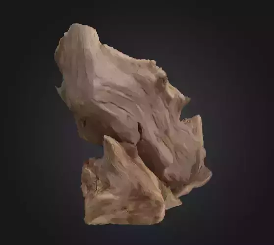 Desolate Driftwood Low-poly 3D model