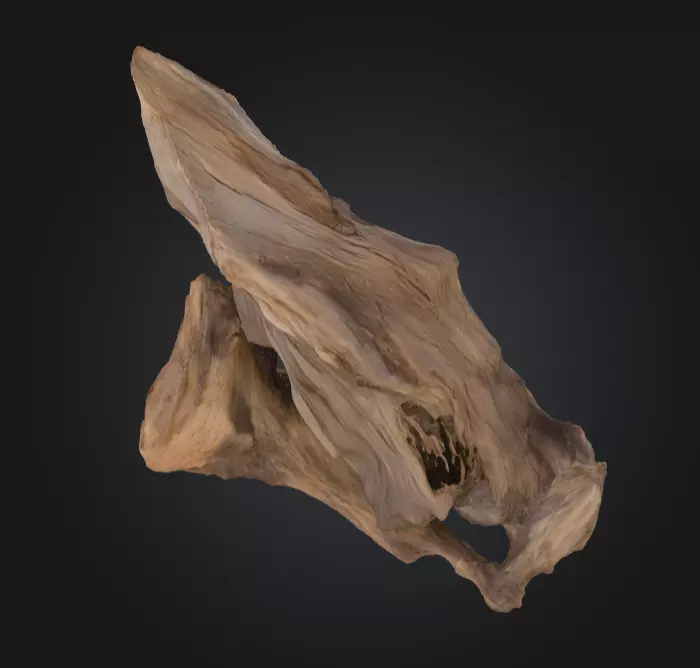 Desolate Driftwood Low-poly 3D model_10